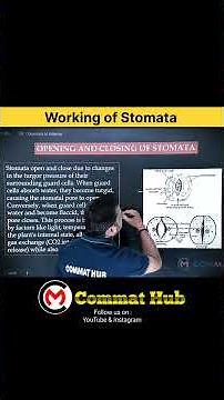 ✅ Class 10 Biology | Stomata Function Simplified | Life Processes | Easy Explanation