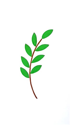 Tree Branch Leaves Drawing