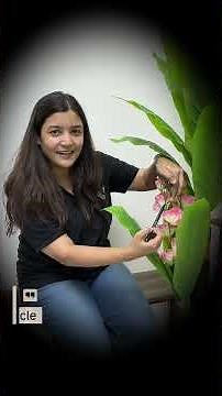 🌿 Basic Terms | Morphology of Flowering Plants | Short Explanation |By Amisha Mam