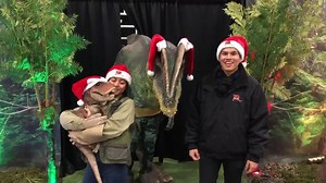 295K views · 3.4K reactions | Jurassic Quest is coming to POMONA, CA THIS WEEKEND! Our event features more rides, activities, and dinosaurs than ever before! Come join us at the FAIRPLEX IN POMONA this weekend: December 14, 15, & 16! Friday 3pm - 8pm Saturday & Sunday 9am - 8pm Purchasing tickets online before the event will GUARANTEE ACCESS! 6:30 - 7:00 pm https://www.jurassicquest.com/events/pomona-ca | Jurassic Quest | Facebook