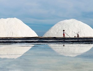 Colima y su importancia en la gastronomía mexicana - Gourmet de México