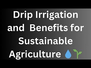 Drip Irrigation: Benefits for Sustainable Agriculture 💧🌱
