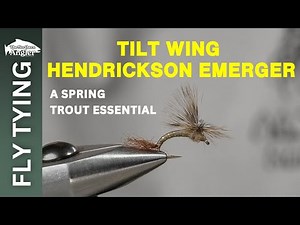Tilt Wing Hendrickson Emerger - A Spring Trout Favorite | Northern Angler Fly Tying Tutorial