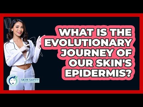 What Is The Evolutionary Journey Of Our Skin's Epidermis? - Skin Savvy Dermatology
