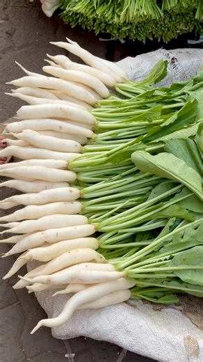 Meghna’s Food Magic on Instagram: "Comment “Mooli” for MOOLI (RADISH) KE PATTE KI SABZI - Recipe via DM . #WinterRecipesByMeghna #SeasonsFreshWithMeghna . Okay, Gen Z and Millennials, I know Mooli (Radish) isn’t usually the “coolest” vegetable on your feed,—but you’ve been sleeping on a superfood! 🥬✨ . Benefits- 1. Glow Up: Packed with Vitamin C (hello, glowing skin!) and B6. 2. Fitness Goals: It’s low calorie and great for weight loss. 3. Gut Health: High fibre means better digestion and metab