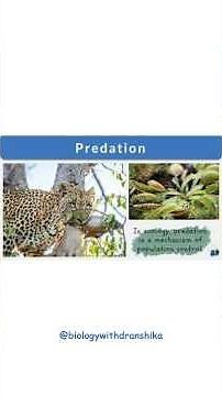 The Circle of Life: Predation as Nature’s Balance