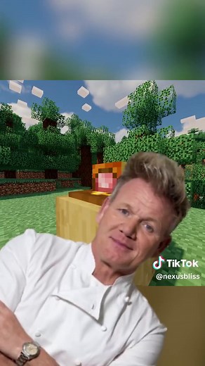 Ultimate Fancy Meal Experience in Minecraft