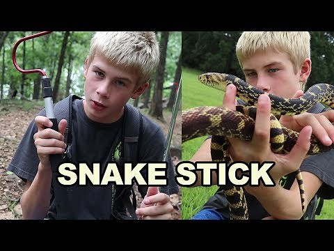 WILDsides: How to Use a Snake Stick