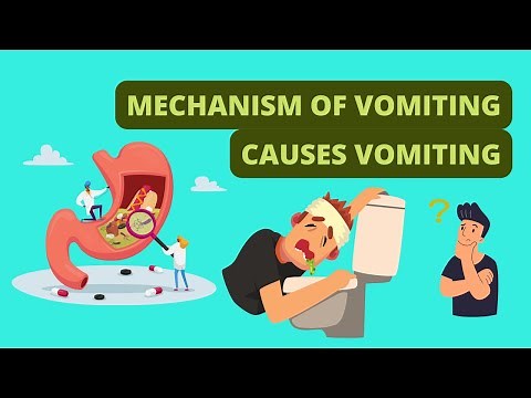 What is Vomiting? (MECHANISM & COMMON CAUSES explained!)