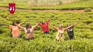 Experience Burundian Traditional Dances in Teza