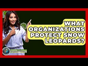 What Organizations Protect Snow Leopards? - Earth Science Answers