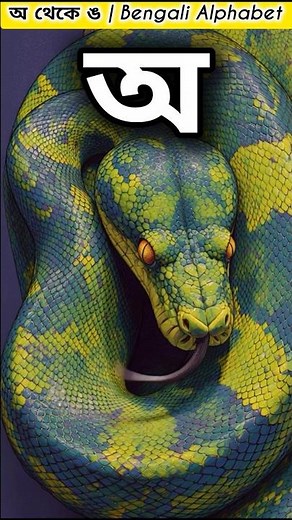 Bengali Alphabet with Adorable Animals