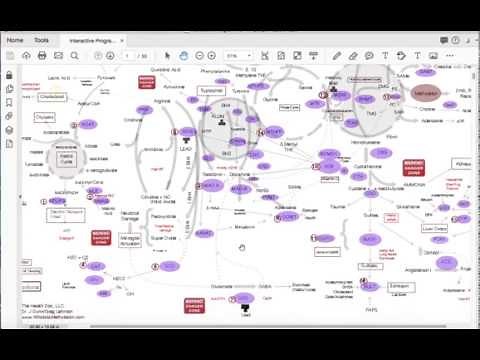 Methylation Interactive Chart Instruction Video