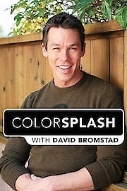 Watch Color Splash Season 3 Episode 11 - Outdoor Oasis