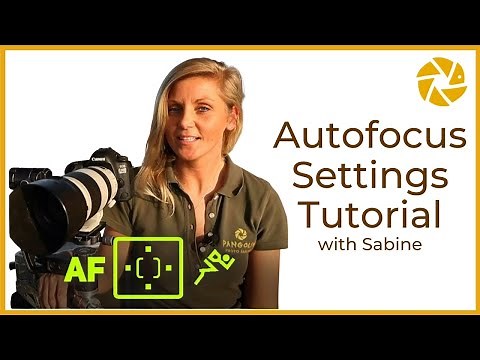 Autofocus Settings Tutorial.