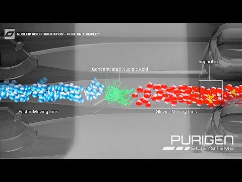 Ionic® Purification System – Simple Charge-based DNA and RNA Extraction