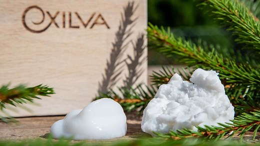 Cellulose fibrils - Borregaard