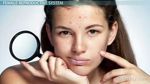 Female Reproductive System: Functions & Structures