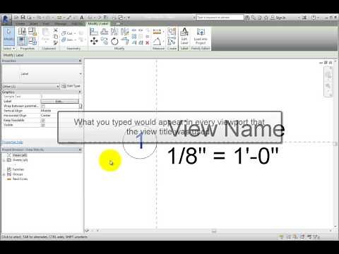 Creating a Custom View Title