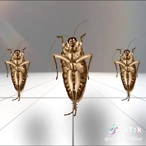 Lefe Le Lee: Onkutlwile Thamage Unmasked