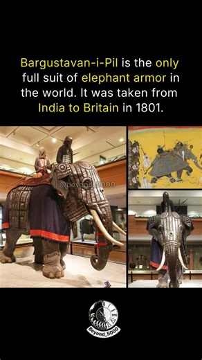 The Only War Elephant Armor Left on Earth… and It’s Indian 🇮🇳😱 #beyond5000 #history