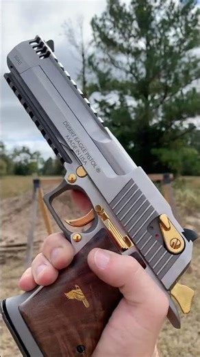Magnum Research Desert Eagle