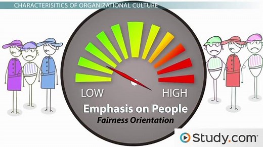 Organizational Culture | Definition, Characteristics & Importance