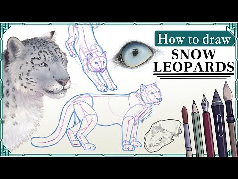 How to draw SNOW LEOPARDS - Step by Step Art Tutorial