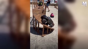 Remote control jeep conquers spiral staircase