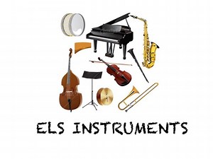 ELS INSTRUMENTS