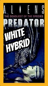 8K views · 2.5K reactions | The White-Hybrid King #alien #alienvspredator #xenomorph #horror #comics #comic #xenomorphs #aliensvspredator #alienearth #alienearthfx #hybrid #aliens #predatorbadlands #yautja #thepredator | Jeremiah Martin | Facebook
