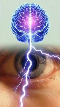 How the Iris works #iris #eye