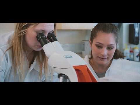 CPTC Medical Laboratory Technician Program