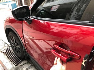 Mazda Advance Keyless Entry Kit