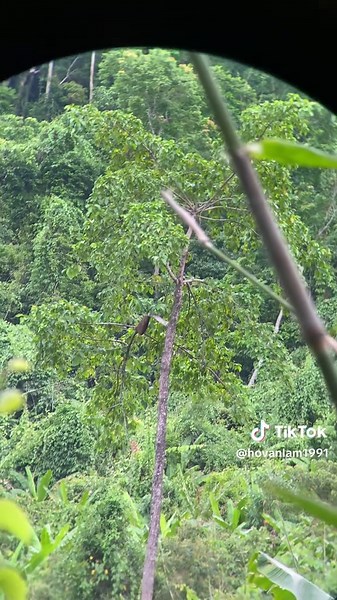 Exploring Honey: Benefits and Uses of Natural Honey