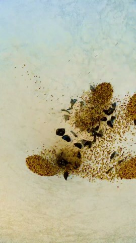 3D bottle simulation