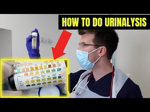 How to perform URINALYSIS - a step-by-step guide | Doctor O'Donovan Clinical Skills