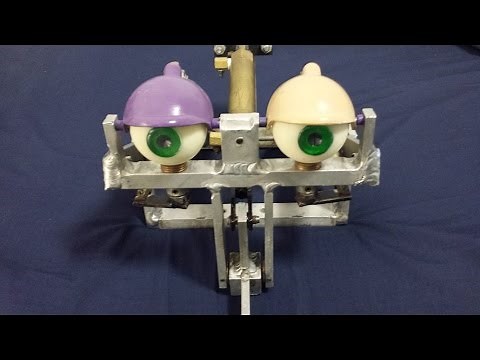 Looney Bird / Pizzacam Mechanism - A Special Request
