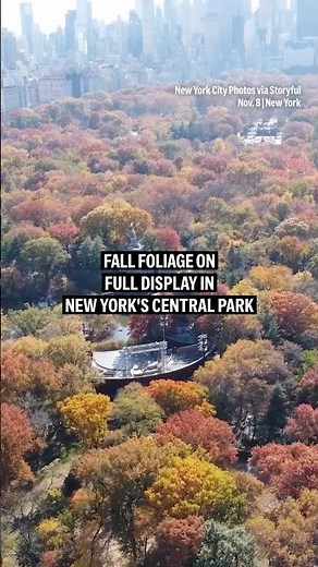 Fall foliage on full display in New York's Central Park
