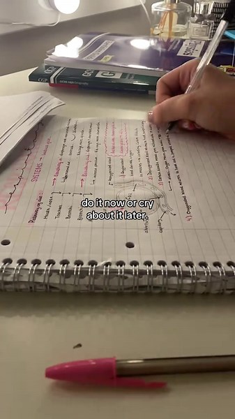 i believe in you! #studywithphoebe #revision #study #lockin #now | study