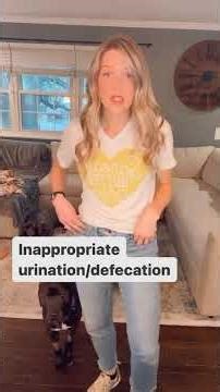 Part 2: Signs of Cognitive Dysfunction Syndrome! . . . 1