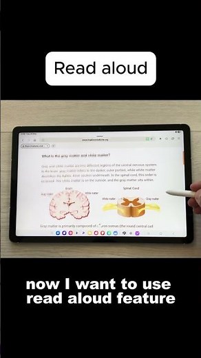 How to Use Read Aloud on Galaxy Tab S10 FE #shorts