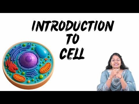 👉 Where Disease Begins 🧫Introduction to Cell Pathology 🧬 | Dr. Aishwarya | Pathology Made Easy