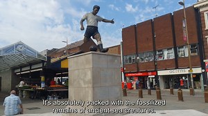 9.6K views · 640 reactions | EXPLAINED: How fossils can be found all around us 直 Matt Sutton reveals how you find remnants of ancient life...even on your High Street!  | Oxford Sparks, 2020 | University of Oxford | Facebook