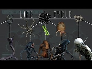 All 10 Different Life Cycles of the Alien Xenomorphs