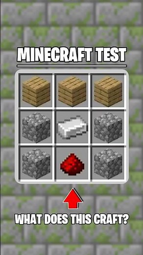 Minecraft Test 🧠👀