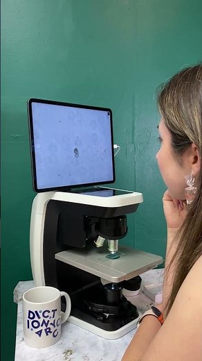 See A Tardigrade Under The Microscope! Animalcules, Explained 🧸🔬