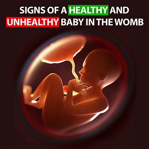 925K views · 14K reactions | Pregnancy Guide on Reels | Facebook