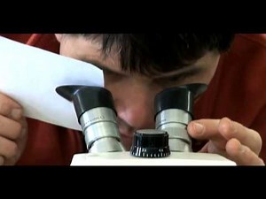 Dissection Microscope