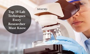 Top 10 Lab Techniques Every Researcher Must Know